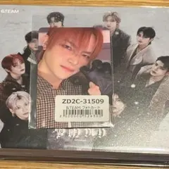 &team ニコラス　雪明かり　通常盤　トレカ