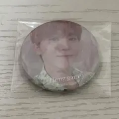 Heng:garae ヘンガレ seventeen スングァン 缶バッジ