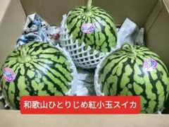 限定品。特値。和歌山ひとりじめ紅小玉スイカ3玉入箱込約3〜4kg前後。のサムネイル