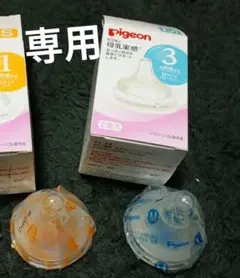 Item thumbnail for item 6cd8e3e5-0085-4733-815b-602ee24b079b