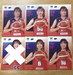 Wリーグ アランマーレ トレカセット