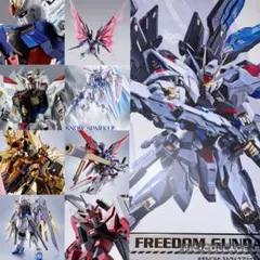 メタルロボット魂　メタルビルド　SEED系　まとめ売り