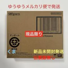 ファイナルファンタジーシリーズ フェスティバルマスク サボテンダー