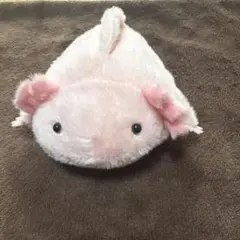 ウーパールーパー ぬいぐるみ マスコット