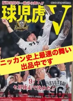 サンケイスポーツ特別版 阪神