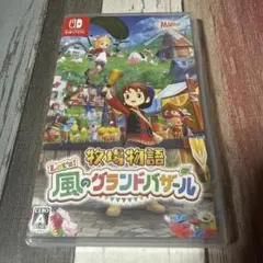 風のグランドバザール switch