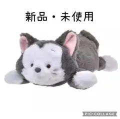 ディズニー フィガロ ぬいぐるみ ペンケース 【新品・未使用】⚠️限界価格⚠️