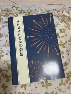 【美品】オトメイト夏の記録集 公式小冊子 オトメイト オトパ