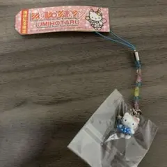 希少　レア　ご当地キティ　ハローキティ　根付　海ほたる　千葉県　ストラップ