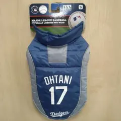 Item thumbnail for item 8f3d1f12-5ede-4000-b4dd-7c6f025ca34a