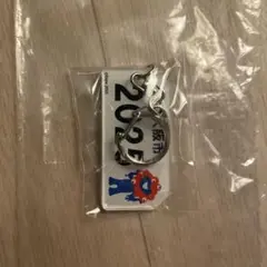Expo 2025 キーホルダー　万博ナンバープレートキーホルダー