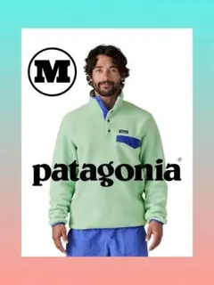 【M】 PATAGONIA シンチラ スナップT RINSED GREEN