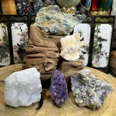 総重量2.23kg！天然石 龍亀（ロングイ）13体 大集合セット - メルカリ