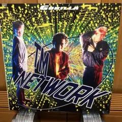 TM NETWORK Gorilla レコード