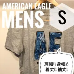 AMERICAN EAGLE メンズ Tシャツ S グレー【Z】