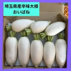 辛味大根農家の辛味大根『おいばね』コンパクト発送のサムネイル