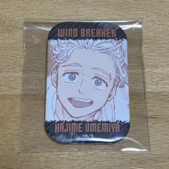 WIND BREAKER トレーディングスクエア缶バッジ 梅宮一 原作