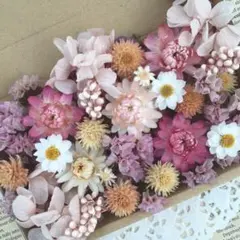 NO.202 花材詰め合わせ　花材セット　ドライフラワー