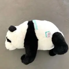 2026年最新】上野動物園の双子パンダ・シャオシャオの人気アイテム