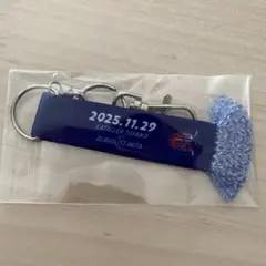 カターレ富山 応援グッズ