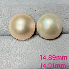 新品1402☆淡水真珠超大粒約15.4mmピアスパープル系メタリック色照り艶 