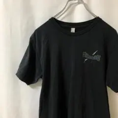 N-4228 アメリカンアパレル USA製 イーグルリント Tシャツ 半袖 M