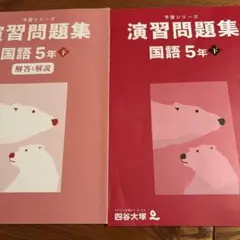 四谷大塚 演習問題集 国語5年上 - メルカリ
