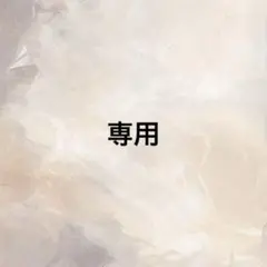 専用ページ
