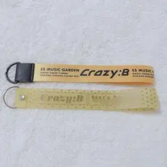 Crazy:B ペンラ リスレット