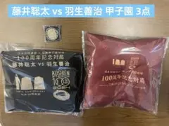 日本将棋連盟✖️阪神甲子園球場　100周年記念対局　　 羽生善治　藤井聡太