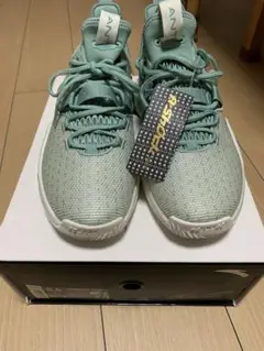 Gordon Hayward 2