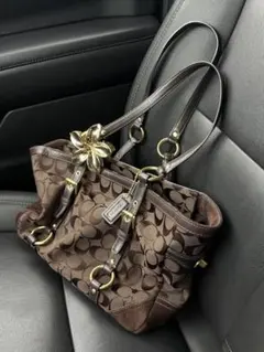 COACHコーチ シグネチャー トートバッグ ハンドバッグ ブラウンF13810
