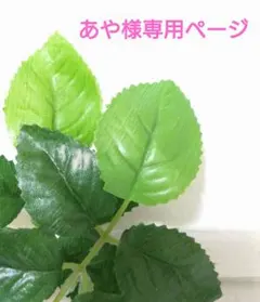 ＊あや様専用ページ＊