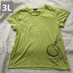 C.P.A ♦️カットソー Tシャツ　Aライン