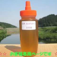 ふじふじ様専用です(*^^*)　百花蜜３本