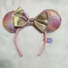 東京ディズニーリゾート【40周年記念オーロラカチューシャ】限定