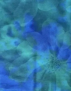 D'sSELECTION MAJESTY JUNKO MATSUDA ムラ染め