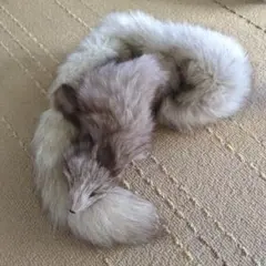 Item thumbnail for item 8e6dd8ba-6e28-448c-ab84-aae96d571f89