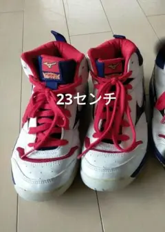 Heartz Basketball青と赤ハーツジャージ上下160 2025年最新】ハーツ バスケの人気アイテム - メルカリ
