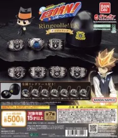 家庭教師ヒットマンREBORN! DX ボンゴレリング コンプリートセット