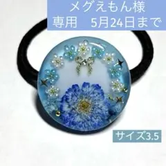 ヘアゴム レジン サークル3.5㎝ - メルカリ