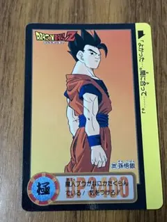 No.222孫悟飯他　３枚セット　ドラゴンボールカードダス　本弾