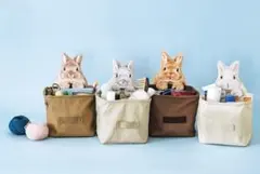 フェリシモ YOU+MORE! 中をのぞくうさぎのコンパクト収納ケースの会 4