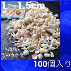 海のカケラ　( A )  二枚貝　小さな 貝殻