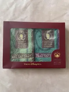 ディズニーシー ファンタジースプリングスアナと雪の女王 ミニタオル2枚セット