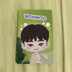 SEVENTEEN セブチ ウォヌ WONWOO パズルセブンティーン パズチ