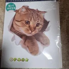 Item thumbnail for item d9191051-e866-4917-aae3-c036a9620427