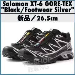 Salomon XT-6 ゴアテックス Black/Footwear Silveのサムネイル