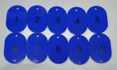 Item thumbnail for item 47624c3f-998a-40df-924b-2e9daa0a88be