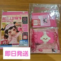 メロジョイ メロイアの暮らしの図鑑 クリームわん洗顔ヘアバンド